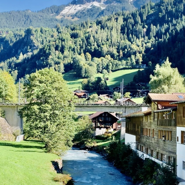 Peak View Adventure⛰️