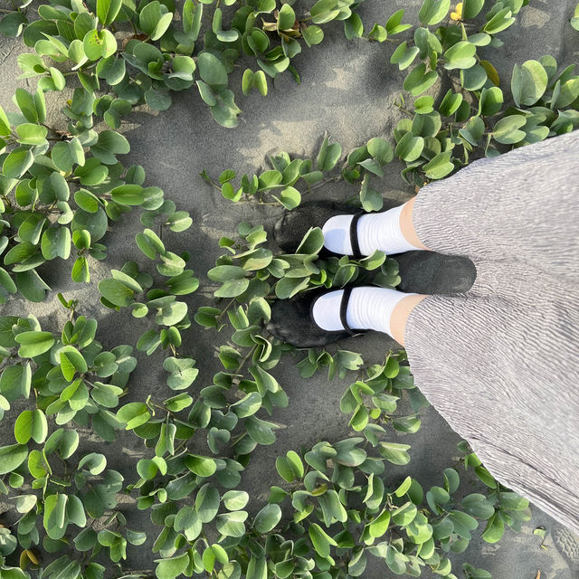 台南 頂頭額沙洲