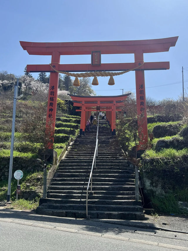 【うきは観光】桜の季節がオススメな山の上の絶景スポット