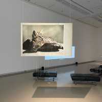 히로시마 최고의 명소, 히로시마 현대미술관 MOCA