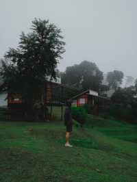 สันป่าเกี๊ยะ ดอยหลวงเชียงดาว ⛰️