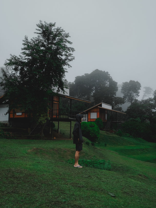 สันป่าเกี๊ยะ ดอยหลวงเชียงดาว ⛰️