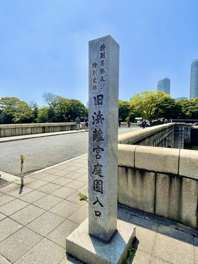 📍浜離宮恩賜庭園 🌸🗼東京・桜と菜の花を楽しむ春散策