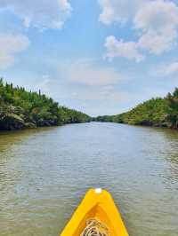 Taman Nasional Tanjung Puting