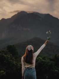 ป่าโป่งดอย โฮมสเตย์เชียงดาว 🏕️⛰️