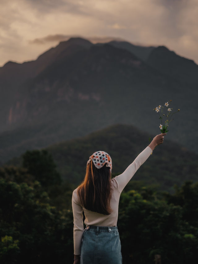 ป่าโป่งดอย โฮมสเตย์เชียงดาว 🏕️⛰️