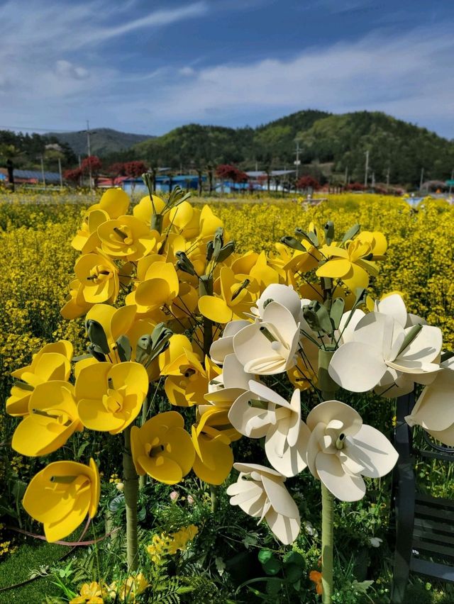 허수아비 포토존이 있는 유채꽃축제💛