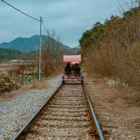 Pedal Through Paradise: Gangchon Rail Bike Adventure!