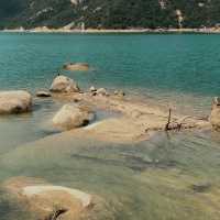 新加坡勿洛水庫公園：湖泊綠洲，適合身心放鬆