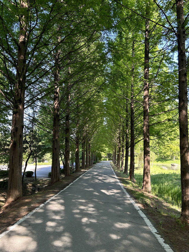 봄에 가기 좋은 오산 물향기 수목원🌳🌸