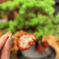 愛辣必食🔥旺角麻辣風雲