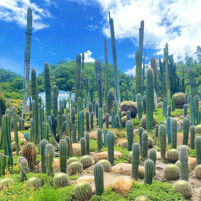 上海辰山植物園：綠色殿堂，世外桃源