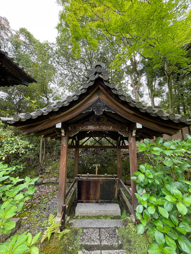【京都府】金地院を散策