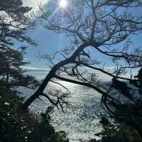 【臺北景點】龍崗步道～蔚藍海景～放鬆身心的時刻