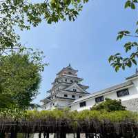 【佐賀観光】唐津城の藤の花を愛でに。。。