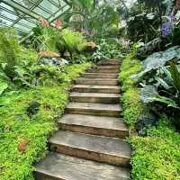 Botanical Garden Singapore
