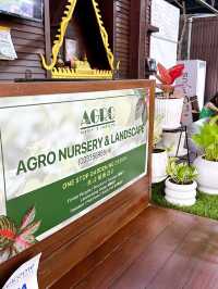 Stunning Gardens by AGRO Nursery