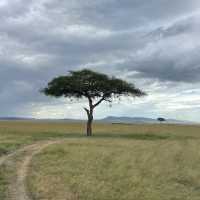 The incredible wild life of Masai Mara 
