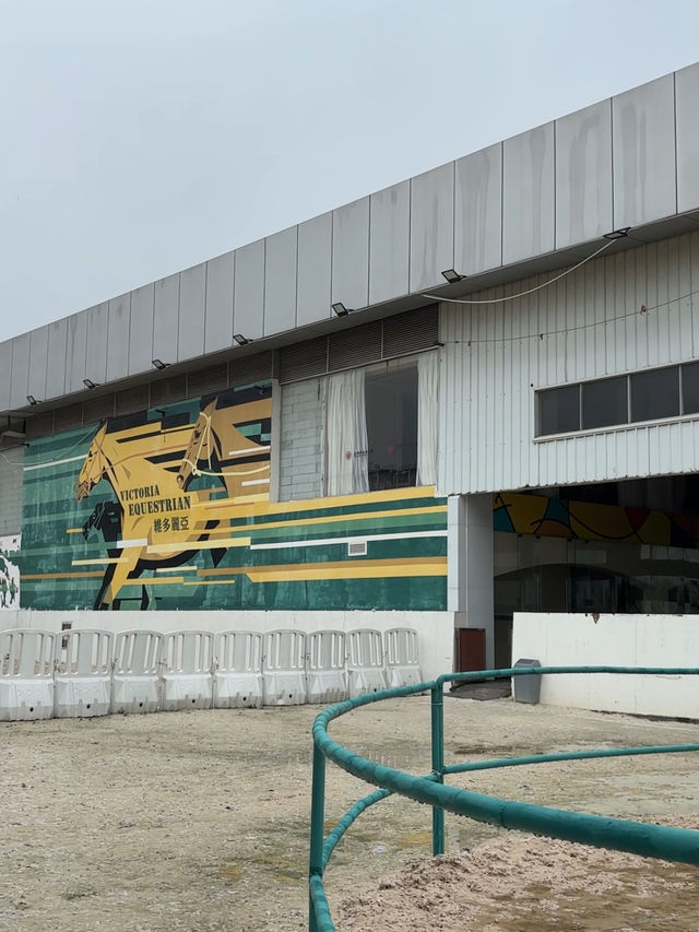 【深圳-一日體驗騎馬餵馬 🐎】