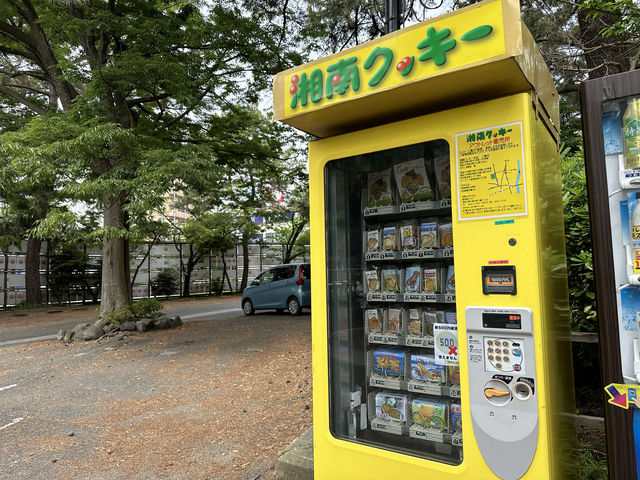 神奈川・平塚。『平塚八幡宮』