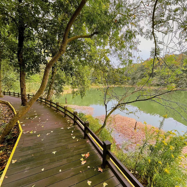 見晴懷古步道：驚艷自然景緻，遊客喜愛的高山步道