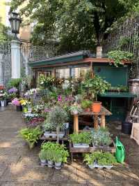 ล่องเรือกอนโดล่า ที่เมืองเวนิส สุดแสนโรแมนติก