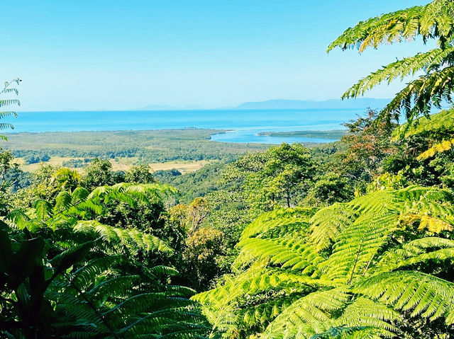 Cape Tribulation