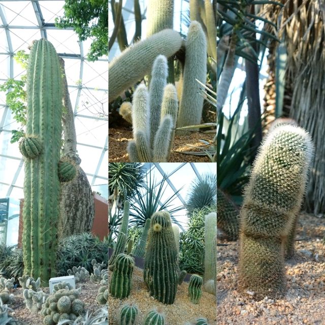 新加坡奇幻世界花園😻