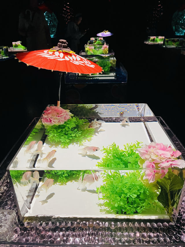 【東京都】雨の日観光にもおすすめ『アートアクアリウム美術館』