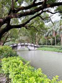Exploring the Rich Heritage of The Chinese University of Hong Kong (CUHK)  