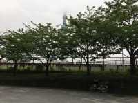 漫步隅田公園：東京都市中的綠意與壯麗景觀