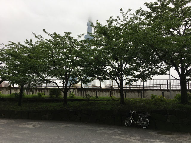 漫步隅田公園：東京都市中的綠意與壯麗景觀