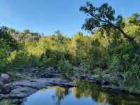 Yellow Water Cruise and Darwin Stay