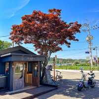 서울근교 당일치기로 다녀오기 넘 좋은 신시모도🏝️