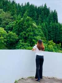 Echigo Tsumari Art Field 