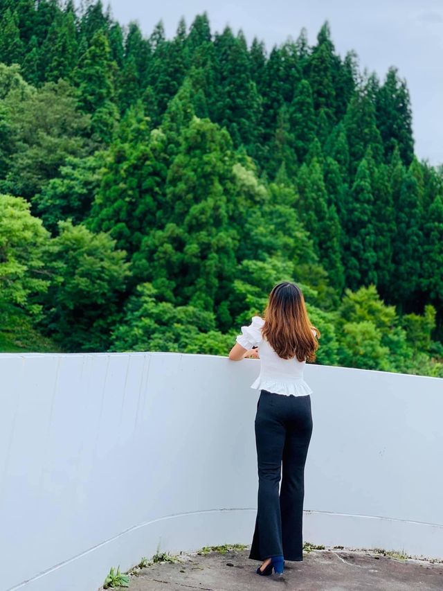 Echigo Tsumari Art Field 