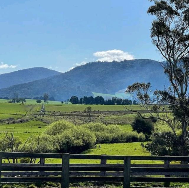 Discover Tasmania's East Coast 🇦🇺🌊