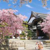 Feeling Blissful in Kyoto 🌸