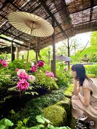 〜東京都〜東京穴場お花見スポット🌸