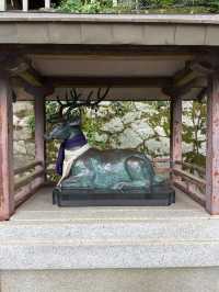 節分祭が有名！京大近くにある吉田神社⛩️