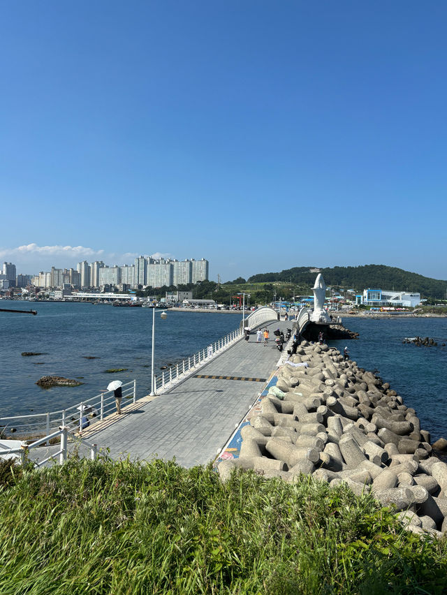 동해 바다를 한눈에 바라볼 수 있는 울산 슬도💙