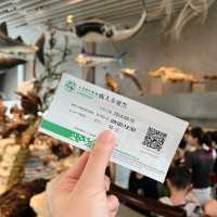 เดินเล่นกันที่ Shanghai Natural History Museum