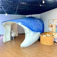鹿兒島水族館-九州最大規模水族館，必看鯨鯊、水母與魔鬼魚