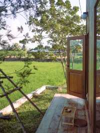 ดอกไม้ประตูแจกันวิลเลจ คาเฟ่สุดชิลย่านบางใหญ่🏠🌳