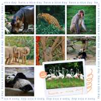 福州動物園：動物奇妙景象，雨天也好玩