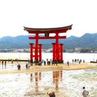 廣島景點｜世界遺產-嚴島神社-宮島-日本三景