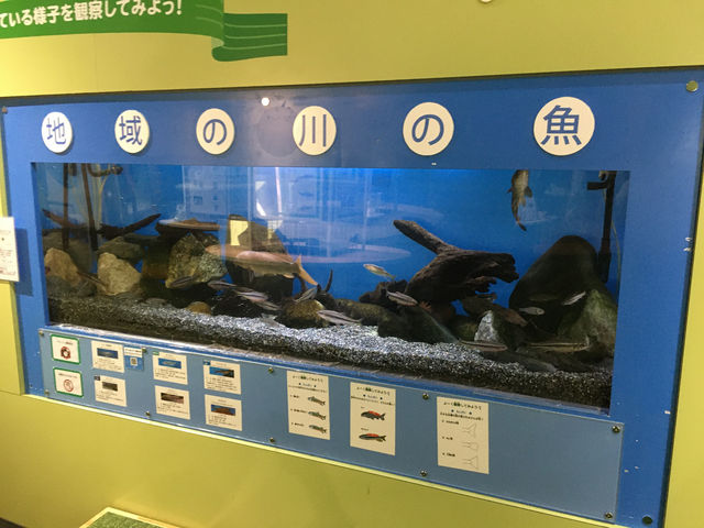 探索科學奇蹟：東京多摩六都科學館的奇妙之旅