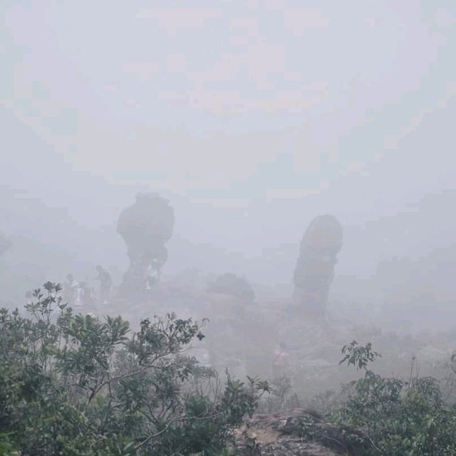 ป่าหินในสายหม่านหมอก