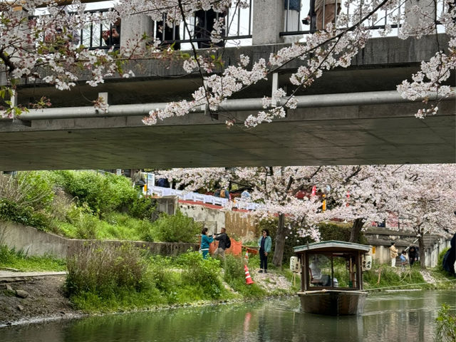 【京都】伏見十石船