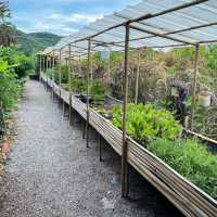 ปราณบุรีก็มีคาเฟ่บรรยากาศดีไม่แพ้ที่อื่นเหมือนกัน